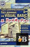      Visual Basic 5   