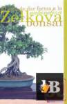 Bonsai La Zelkovo 