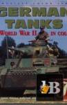  German Tanks of World War II In Color 