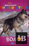 скачать Скачать книгу Удивительный мир животных (Волки) (2003) бесплатно