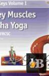  The key Muscles of Hatha Yoga 